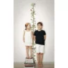 Tapet camera copii, gradatie metru, Kids Walls 45885 Marburg