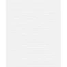 Tapet fibra de sticla 3356-01