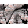 Fototapet sfere cu efect 3D 8-880
