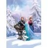 Fototapet Copii Disnay cu Frozen 4-498