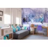 Fototapet Copii Disney cu Frozen 8-499