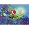 Fototapet Copii Disney cu Ariel 8-4021