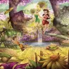 Fototapet Copii Disney cu Fairies 4-416