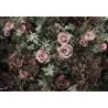 Fototapet floral cu trandafiri 8-980
