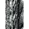 Autocolant decorativ Mesteacan 45cm X 15ml