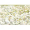 Fototapet Floral cu Margarete 8-994