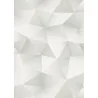 Tapet Geometric cu efect 3D 10216-31
