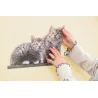 Sticker decorativ cu Pisici 17010