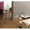 Sticker decorativ cu Pisici 17010