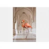 Fototapet fara imbinari Flamingo on the Hallway