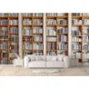 Fototapet 3D fara imbinari - Perete Bibliotecă