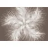 Fototapetfara imbinari Dream Feather