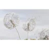 Fototapet fara imbinari Dandelion Fantasy Living & Dormitor