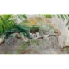 Fototapet fara imbinari Cameleon