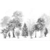 Fototapet fara imbinari Dream Forest Black and White