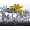Fototapet fara imbinari Dream Golden Tropical Tree