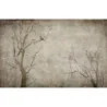 Fototapet fara imbinari Vintage Autumn Forest