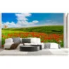 Fototapet fara imbinari Field Of Poppies