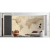 Fototapet fara imbinari Beige World Map