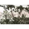 Fototapet fara imbinari Tropical Shores