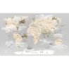 Fototapet fara imbinari Gray World Map